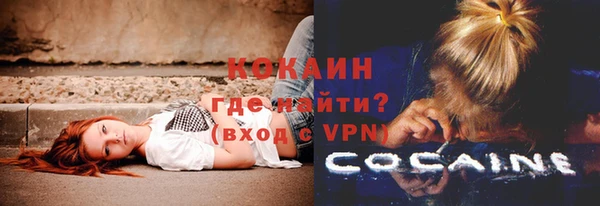 прущие грибы Белоозёрский
