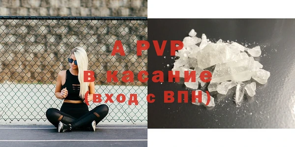 прущие грибы Белоозёрский
