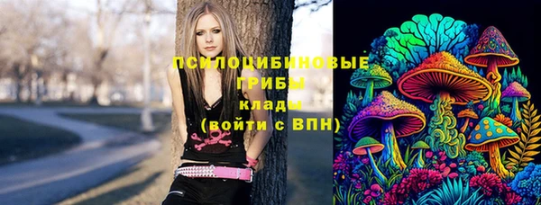 трава Бугульма