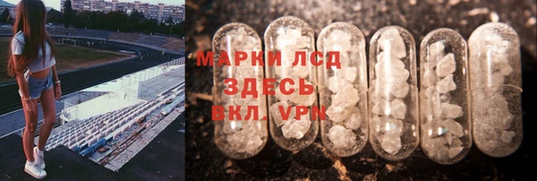 прущие грибы Белоозёрский