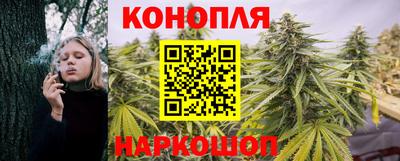 крисы Пугачёв