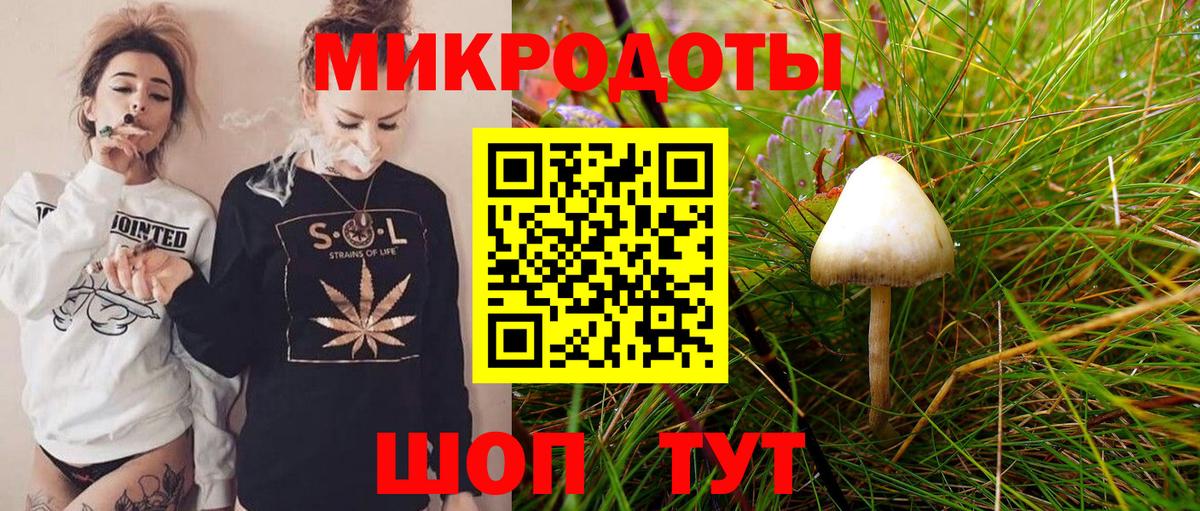Псилоцибиновые грибы GOLDEN TEACHER Северск