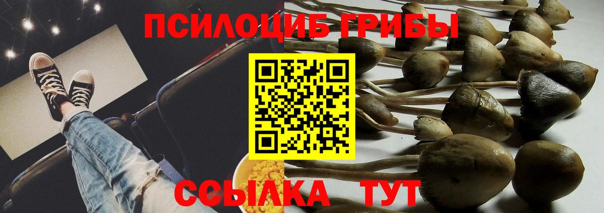 Галлюциногенные грибы Psilocybine cubensis  Вход с VPN  Северск 